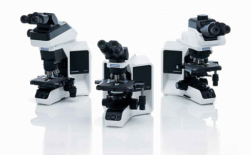 OLYMPUS BX43